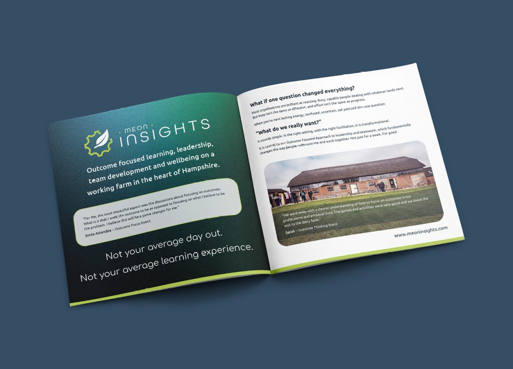 Inside pages of the Meon Insights brochure showing company information.