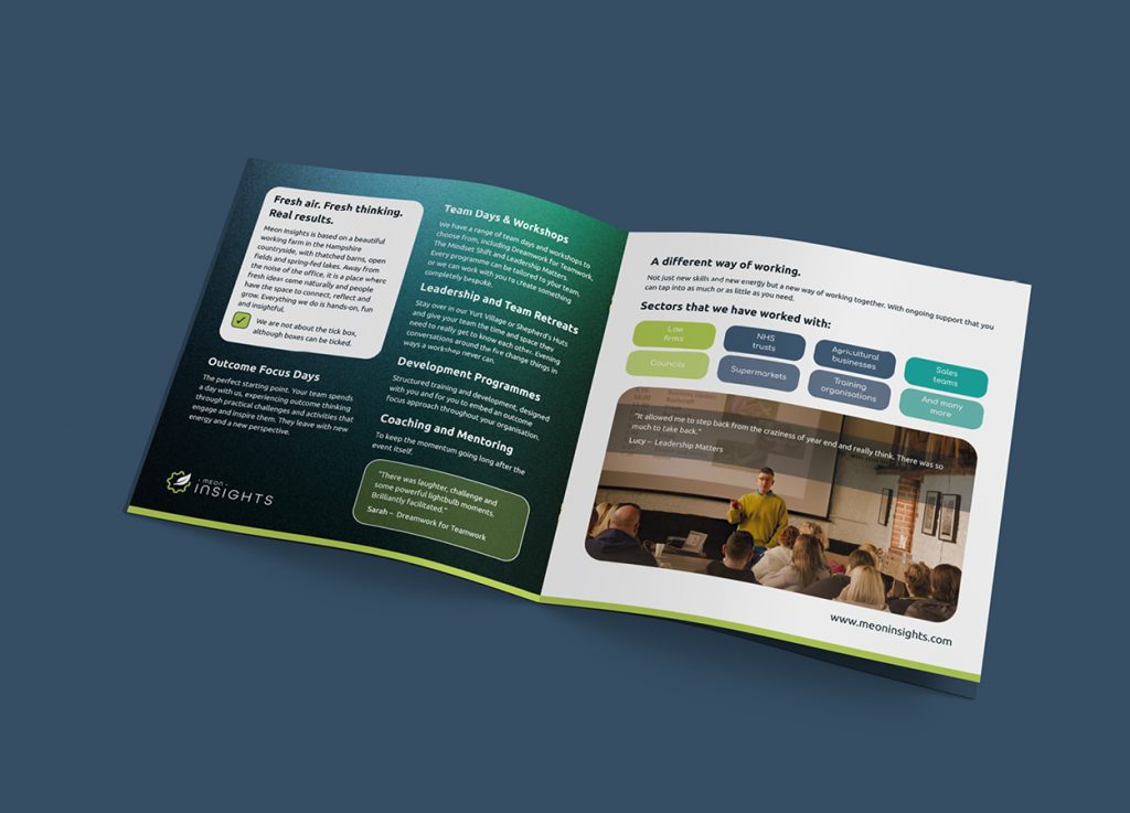 Open Meon Insights brochure showing interior design pages.