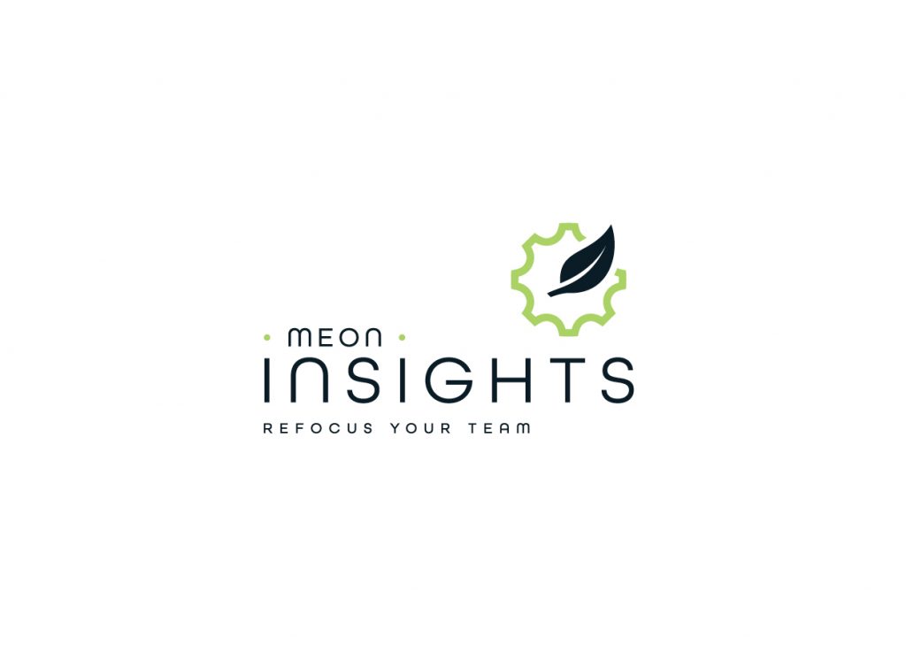 Meon Insights logo displayed on a white background.