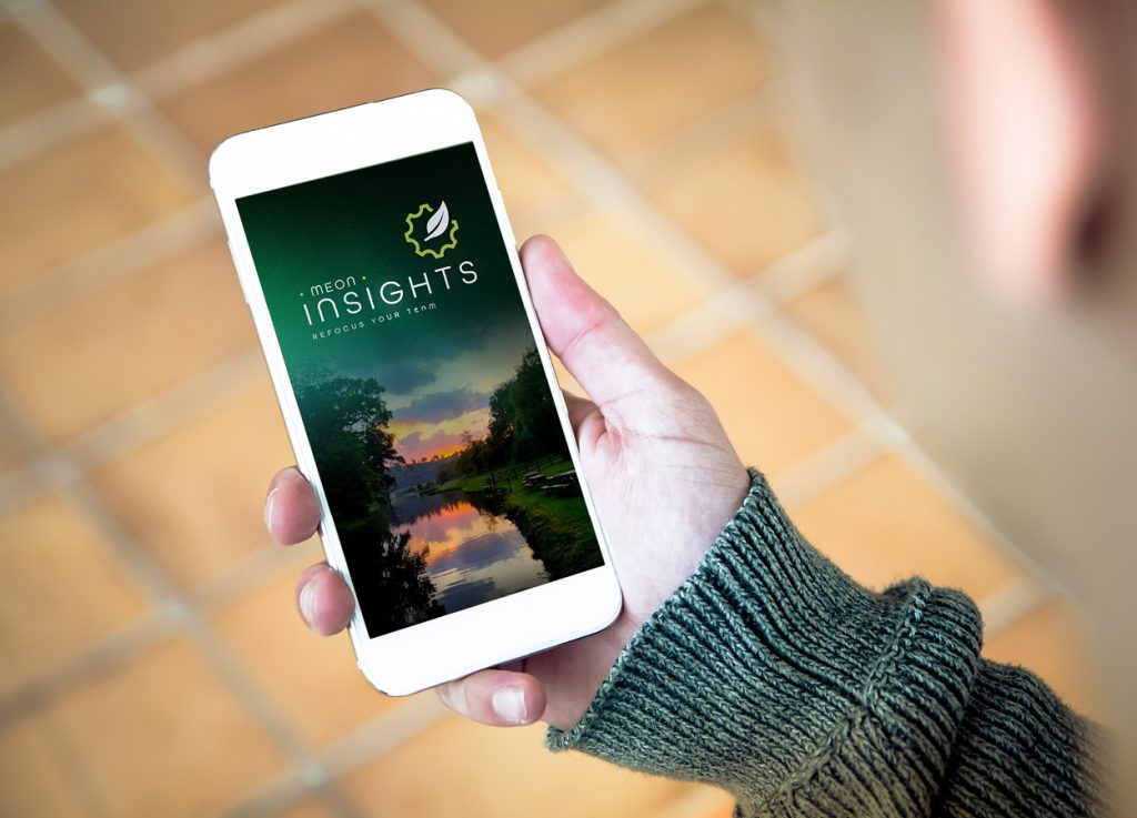 Smartphone displaying the Meon Insights website.