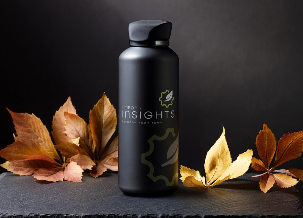 Branded Meon Insights reusable drinks bottle with autumn leaves.