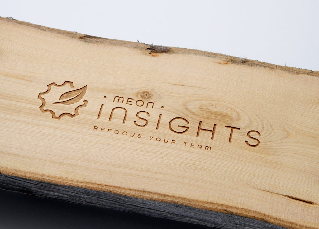 Meon Insights logo laser engraved onto wood.