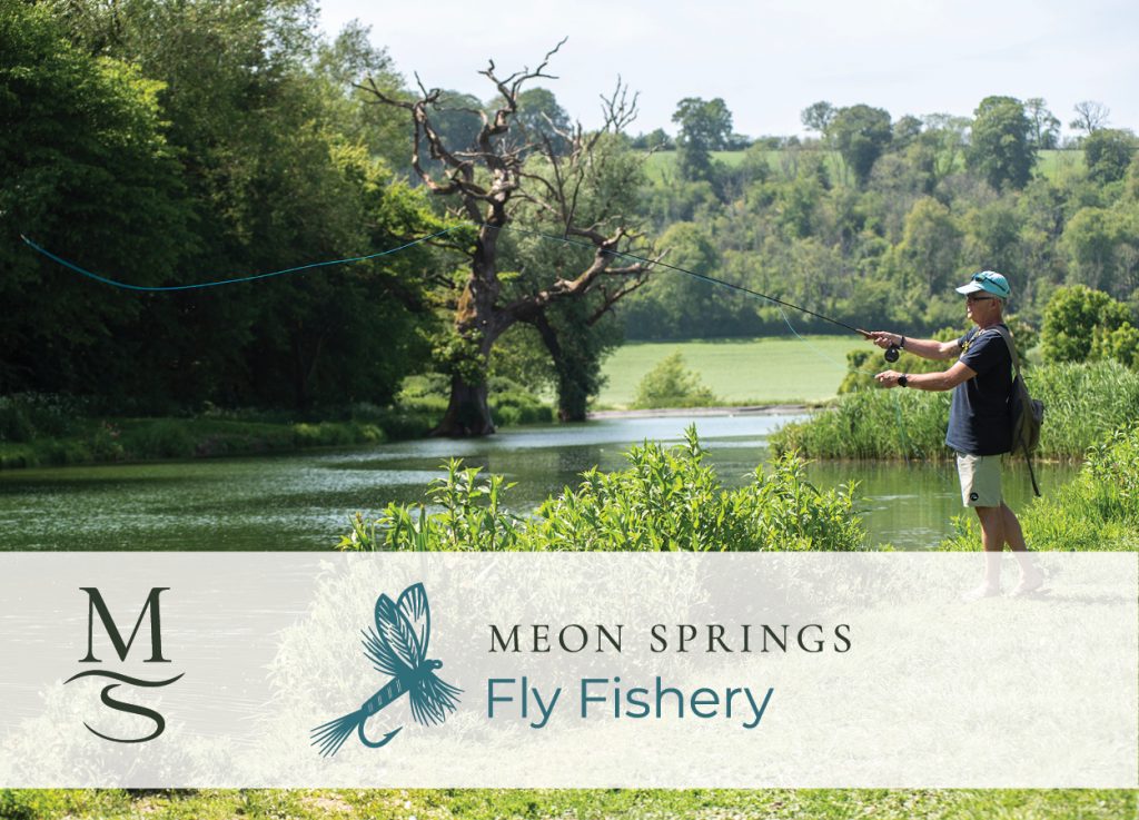 Fly fishing at Meon Springs with the Meon Springs Fly Fishery sub-brand identity